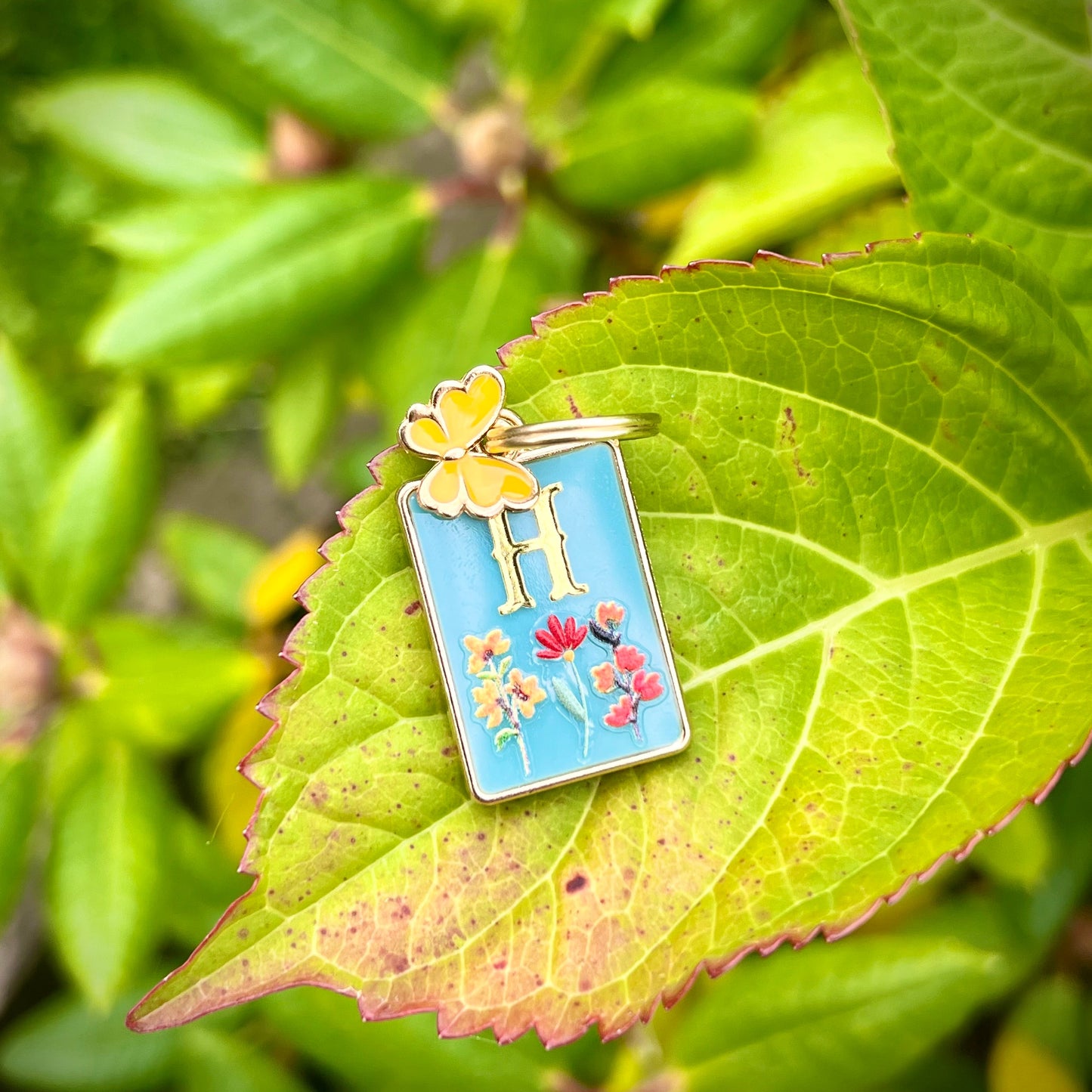 Dainty Daisies