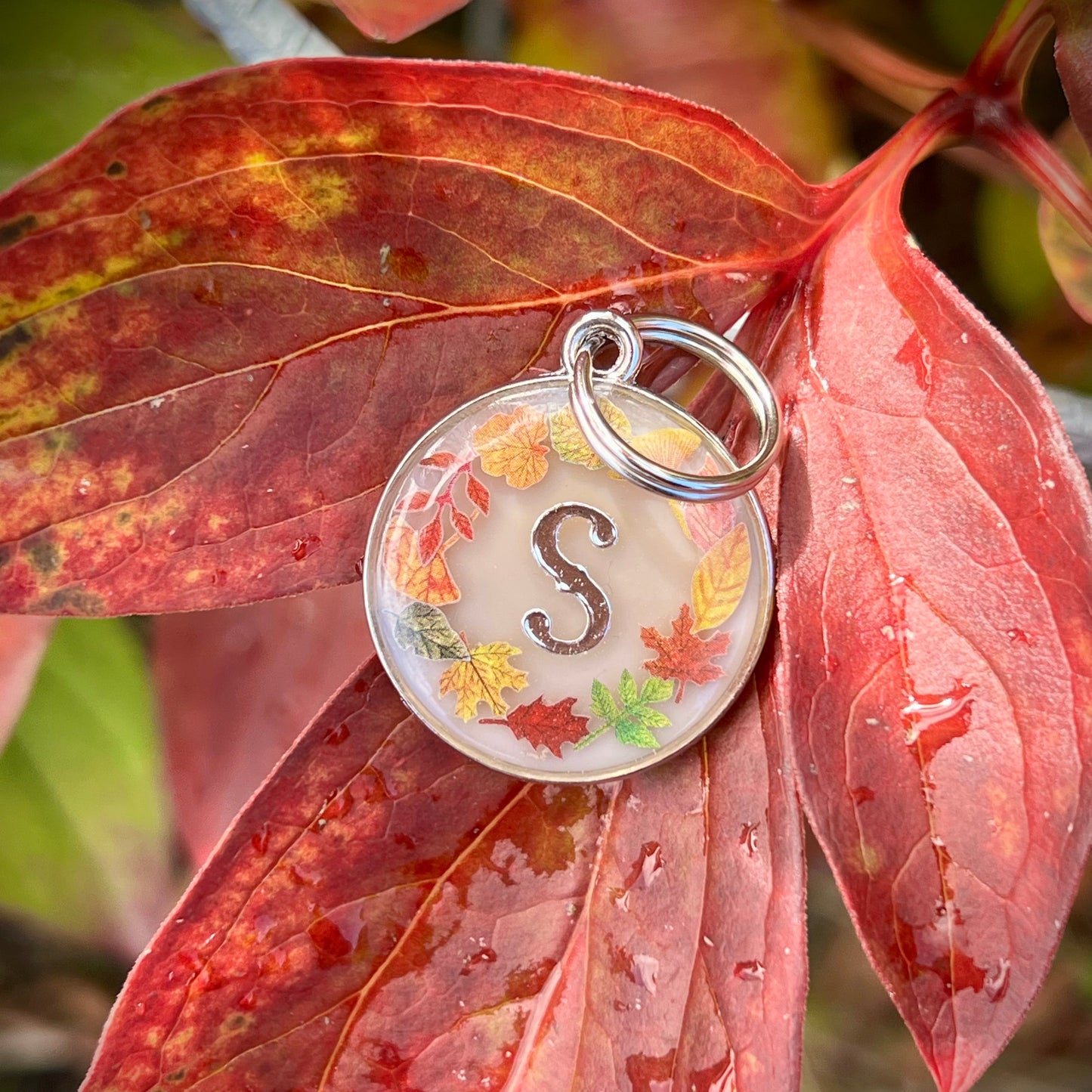 Falling Leaves
