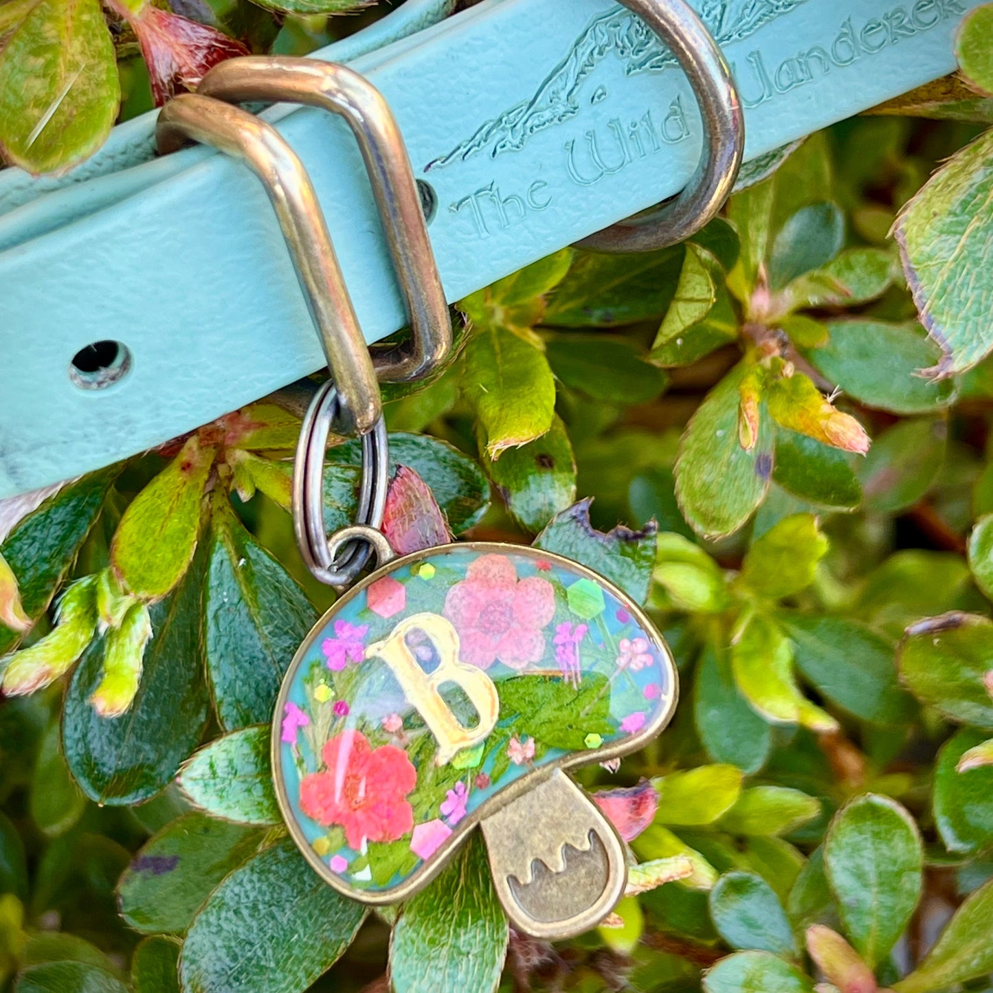 Flamingo Forest