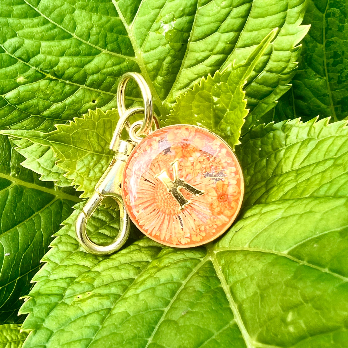‘Add On’ Lobster CLASP