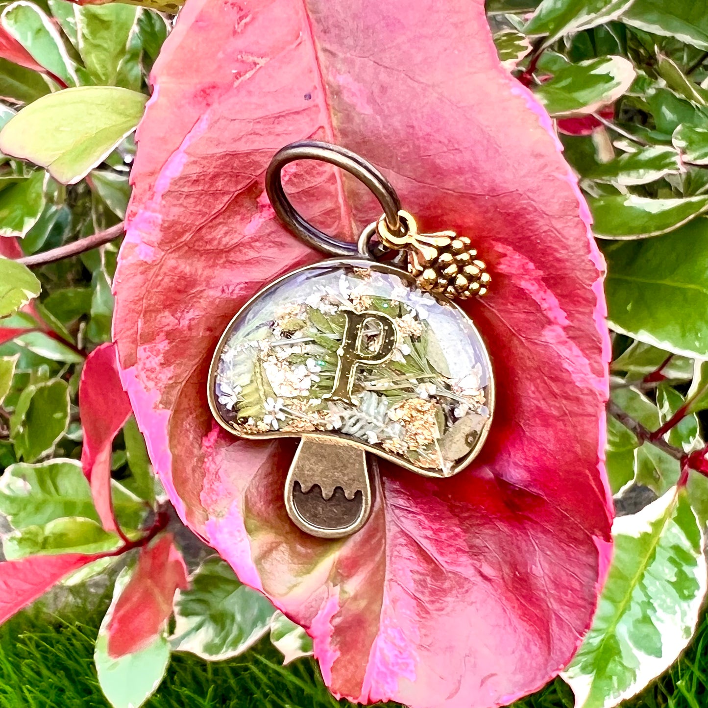 ‘Add On' Pinecone CHARM