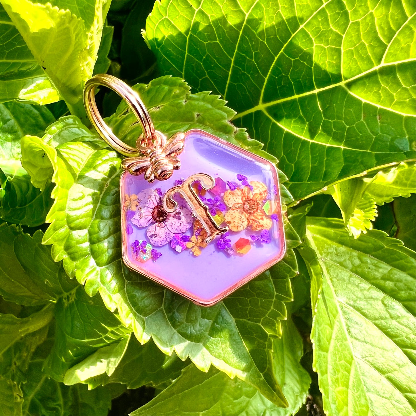 Floral Burst