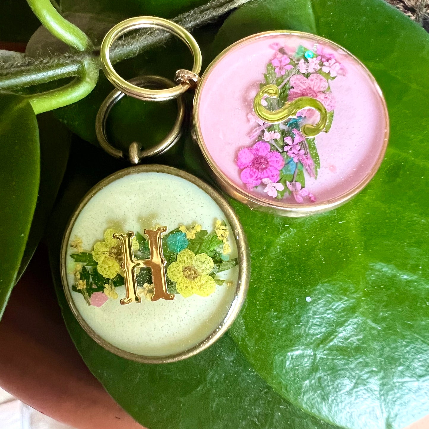 Pink Spring Blooms in Gold Hardware