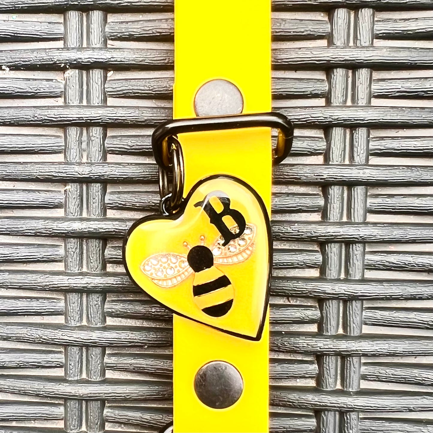 Meant to Bee (Black)