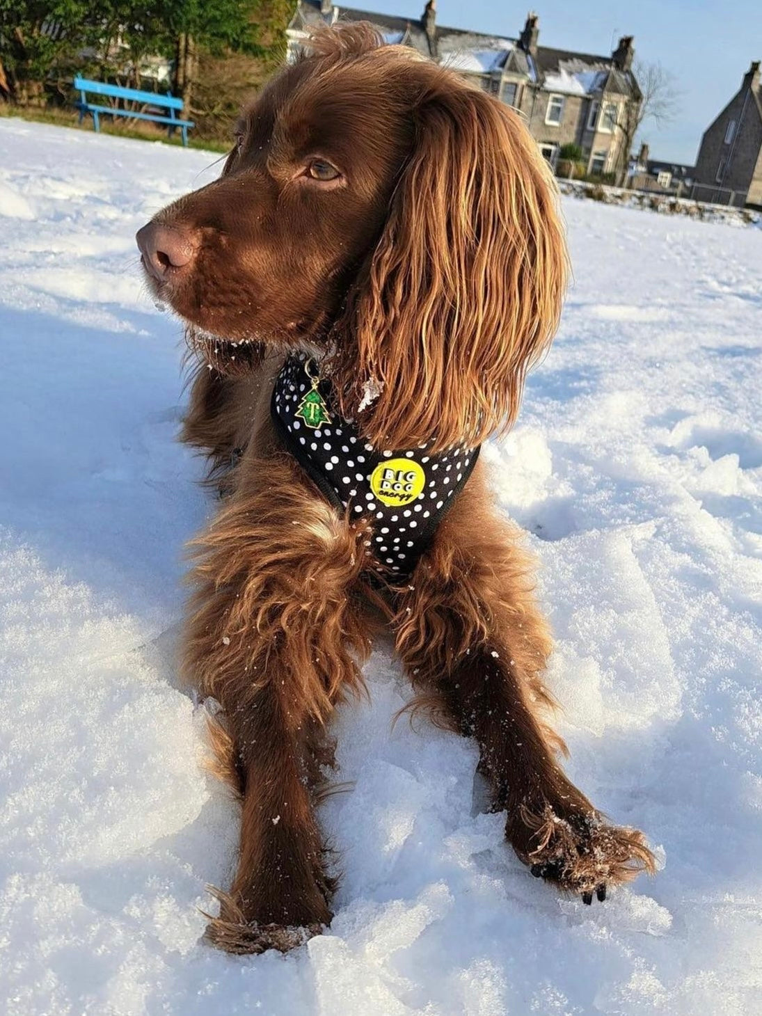 Rocking Around The Christmas Tree