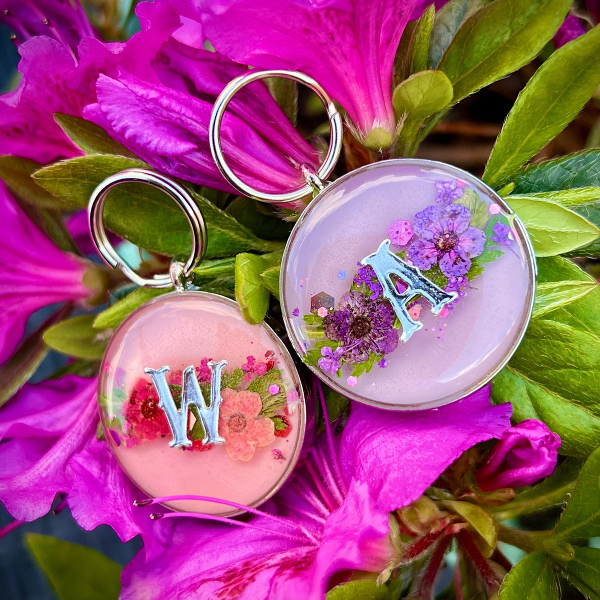 Spring Blooms