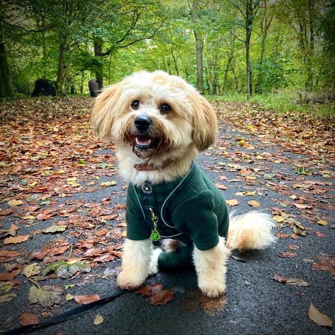 Rocking Around The Christmas Tree